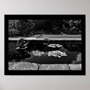 Sculpture Garden Poster