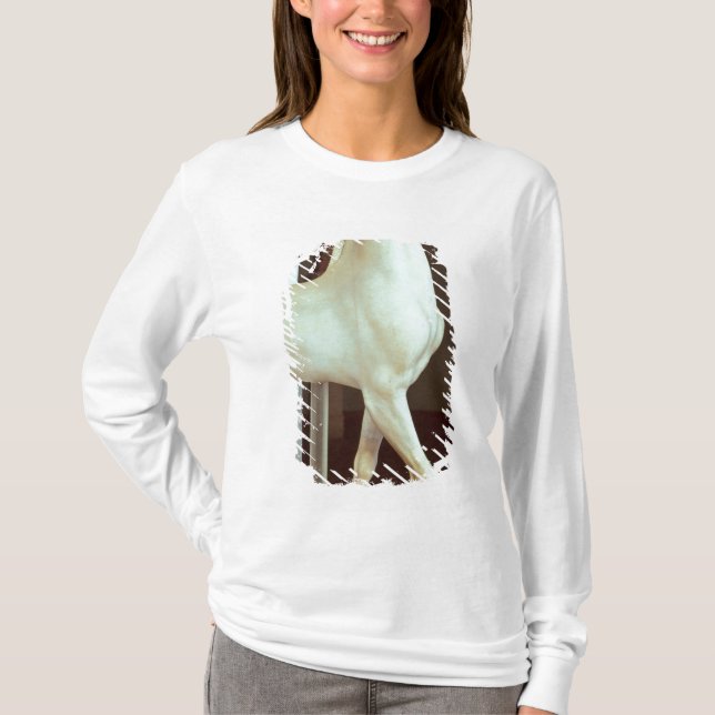 Sculpture of a horse, c.500 BC T-Shirt (Front)