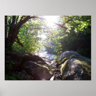 Sculptured Rocks Poster