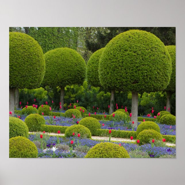 Sculptured Trees Poster (Front)