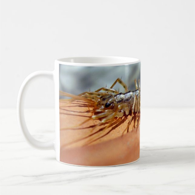 Scutigera Coleoptrata Bug Mug (Left)