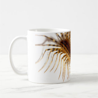 Scutigera coleoptrata coffee mug
