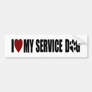 SD bumper sticker