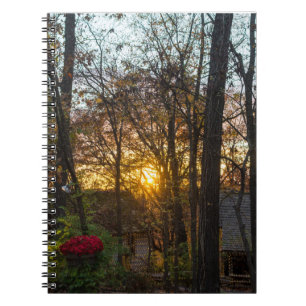 Sdc Woods Sunset Notebook