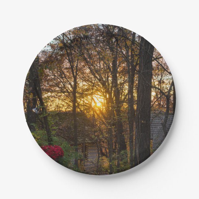 Sdc Woods Sunset Paper Plate (Front)