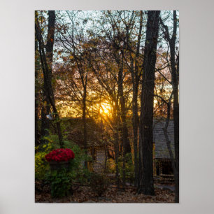 Sdc Woods Sunset Poster