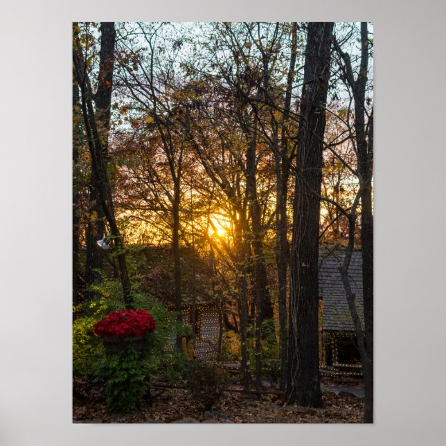 Sdc Woods Sunset Poster (Front)