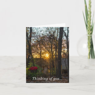 Sdc Woods Sunset Thinking Of You Card