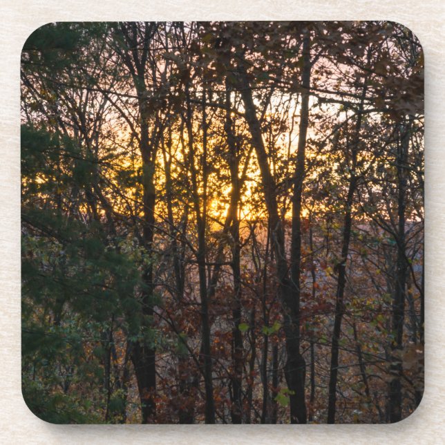 SDC Woody Sunset Coaster (Front)