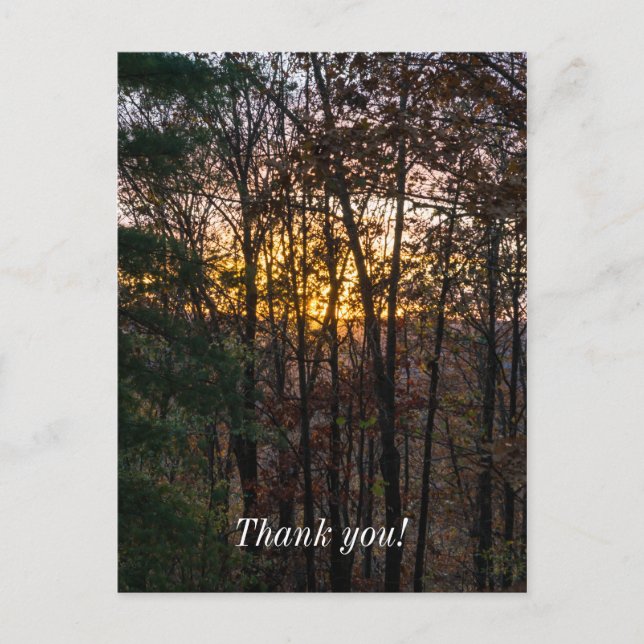 SDC Woody Sunset Postcard (Front)