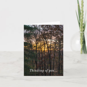 SDC Woody Sunset Thinking Of You Card