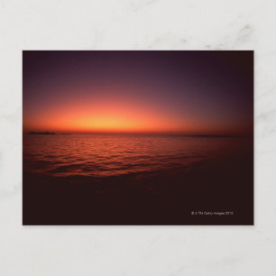 Sea 17 postcard