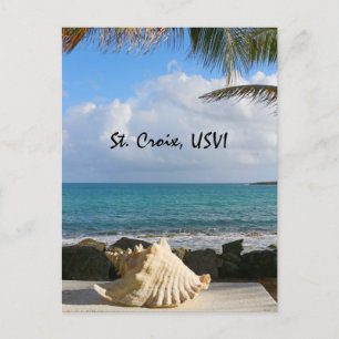 Sea and Sea Shell Postcard