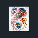 Sea Anemone Canvas Print<br><div class="desc">Coastal & Tropical</div>