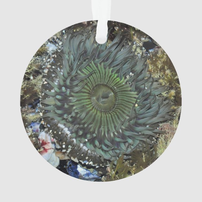Sea Anemone Christmas Ornament (Back)