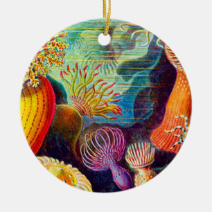 Sea Anemone - Ernst Haeckel Ceramic Tree Decoration