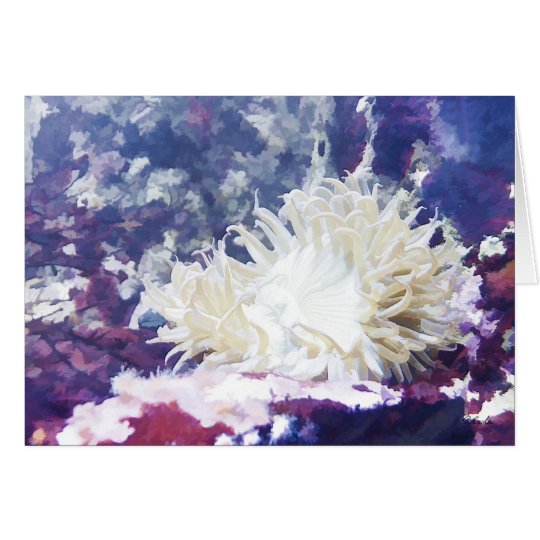 Sea anemone note card