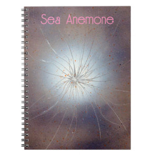 Sea Anemone Notebook