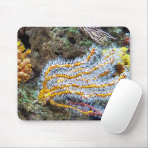 Sea Anemone On A Rock Mouse Mat