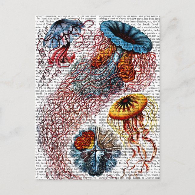 Sea Anemone Postcard (Front)