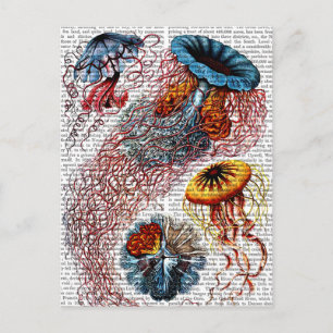 Sea Anemone Postcard