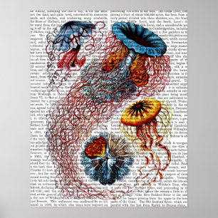 Sea Anemone Poster