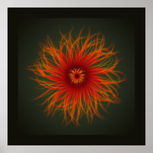 Sea Anemone - print