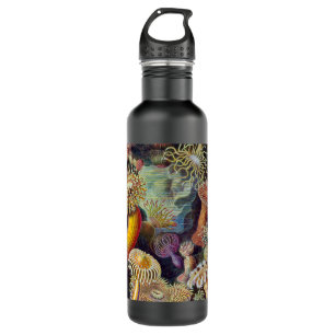Sea Anemone Scientific Nature Ocean 710 Ml Water Bottle