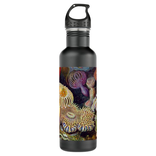 Sea Anemone Scientific Nature Ocean 710 Ml Water Bottle (Front)