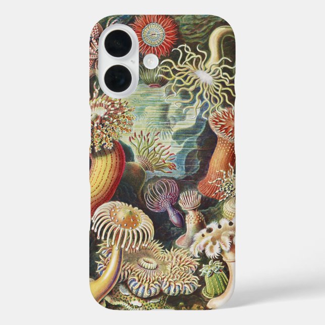 Sea Anemone Scientific Nature Ocean Case-Mate iPhone Case (Back)