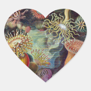 Sea Anemone Scientific Nature Ocean Heart Sticker