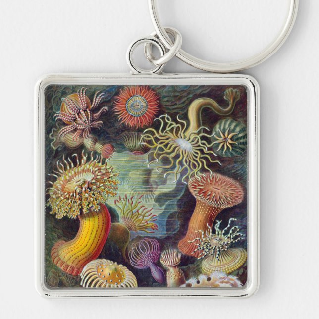 Sea Anemone Scientific Nature Ocean Key Ring (Front)
