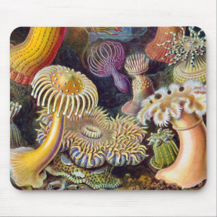 Sea Anemone Scientific Nature Ocean Mouse Mat