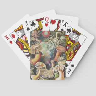 Sea Anemone Scientific Nature Ocean Playing Cards