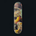 Sea Anemone Scientific Nature Ocean Skateboard<br><div class="desc">Vintage sea anemone scientific print - This print is of Filicinae (Ferns), by Ernst Haeckel from a 1904 antique scientific book. The gift is based on the 49th plate from Ernst Haeckel's Kunstformen der Natur (Art Forms of Nature) from 1904, showing various sea anemones classified as Actiniae. Sea anemones are...</div>