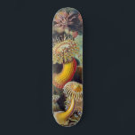 Sea Anemone Scientific Nature Ocean Skateboard<br><div class="desc">Vintage sea anemone scientific print - This print is of Filicinae (Ferns), by Ernst Haeckel from a 1904 antique scientific book. The gift is based on the 49th plate from Ernst Haeckel's Kunstformen der Natur (Art Forms of Nature) from 1904, showing various sea anemones classified as Actiniae. Sea anemones are...</div>