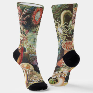 Sea Anemone Scientific Nature Ocean Socks