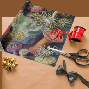 Sea Anemone Scientific Nature Ocean Wrapping Paper