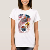 Sea Anemone