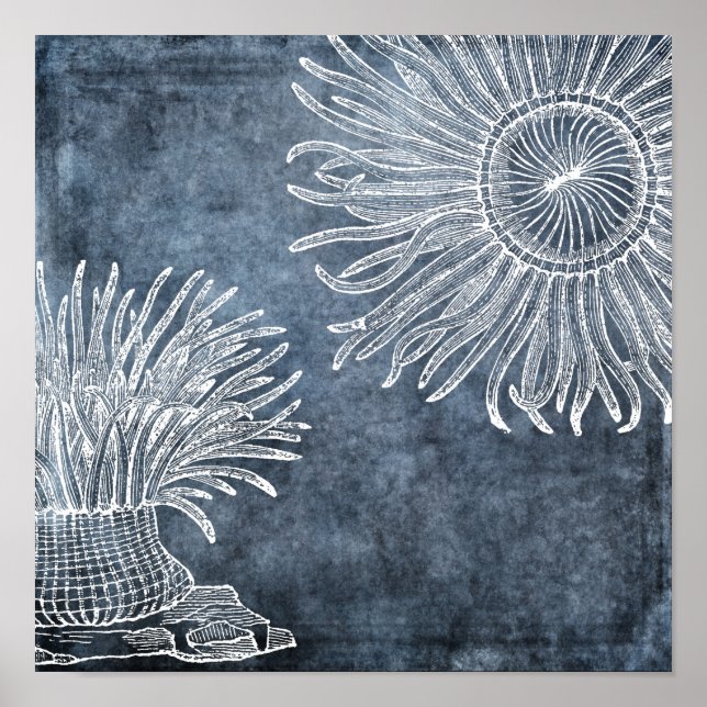 Sea Anemone Watercolor Twilight Ocean Blue White Poster (Front)