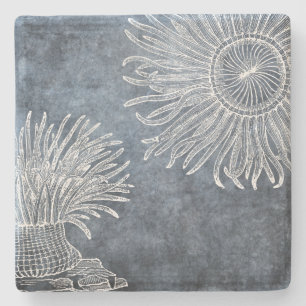 Sea Anemone Watercolor Twilight Ocean Blue White Stone Coaster