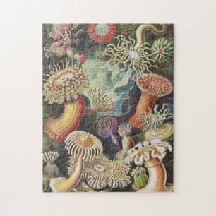 Sea Anemones, Actiniae Seeanemonen Ernst Haeckel Jigsaw Puzzle
