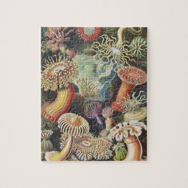 Sea Anemones, Actiniae Seeanemonen Ernst Haeckel Jigsaw Puzzle (Vertical)