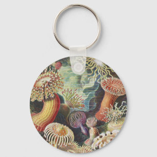 Sea Anemones, Actiniae Seeanemonen Ernst Haeckel Key Ring