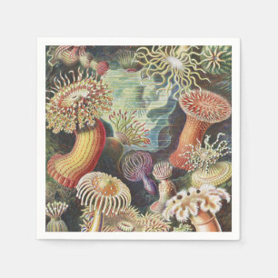 Sea Anemones, Actiniae Seeanemonen Ernst Haeckel Napkin