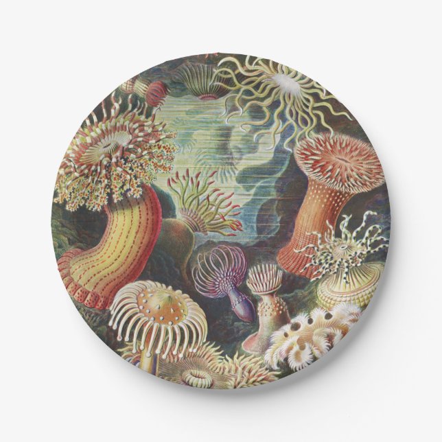 Sea Anemones, Actiniae Seeanemonen Ernst Haeckel Paper Plate (Front)