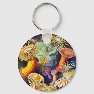 Sea Anemones Ernst Haeckel Fine Art Key Ring