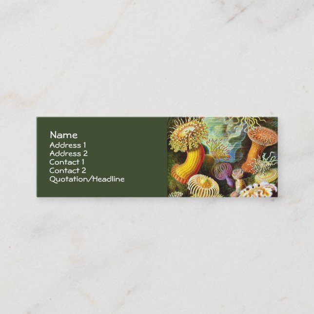 Sea Anemones Ernst Haeckel Fine Art Mini Business Card (Front)