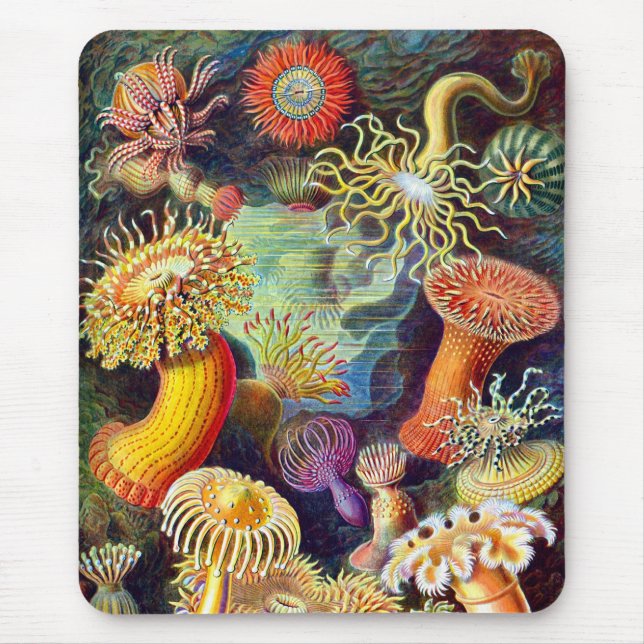 Sea Anemones Ernst Haeckel Fine Art Mouse Mat (Front)