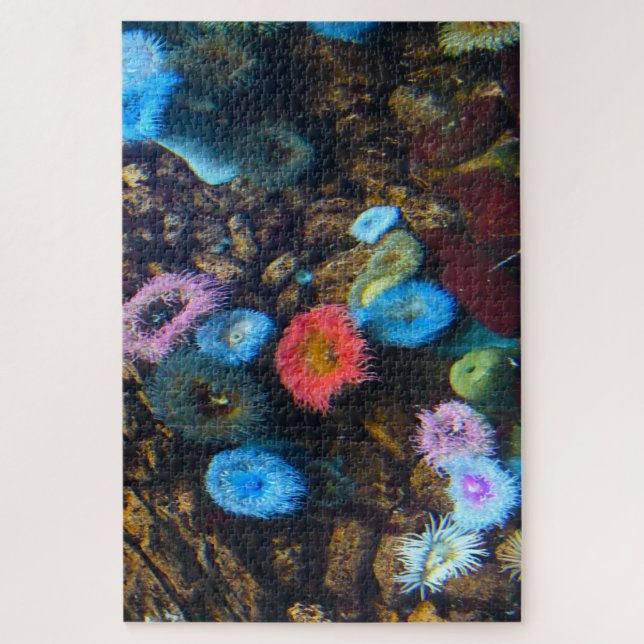 Sea Anemones. Jigsaw Puzzle (Vertical)
